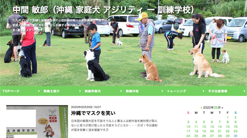 沖縄家庭犬アジリティー訓練学校